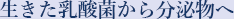 生きた乳酸菌から分泌物へ