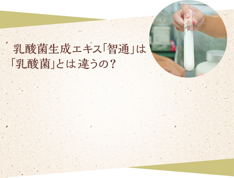 智通（ちつう）乳酸菌生成エキス原液タイプ 10ml×30本