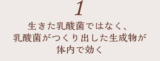 智通（ちつう）乳酸菌生成エキス原液タイプ 10ml×30本