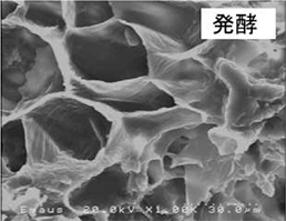 大豆の美センイ 乳酸菌発酵大豆加工食品 42g （2g×21包） ｜ すこやか