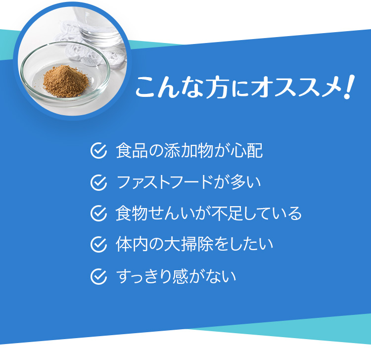 大豆の美センイ 乳酸菌発酵大豆加工食品 42g （2g×21包） ｜ すこやか