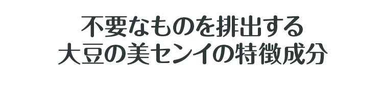 大豆の美センイ 乳酸菌発酵大豆加工食品 42g （2g×21包） ｜ すこやか