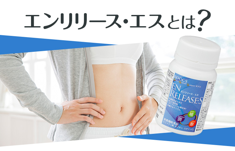 エンリリース・エス 乳酸菌生成エキス配合 マルチビタミン 240粒 ｜ すこやか通販｜B&Sコーポレーション