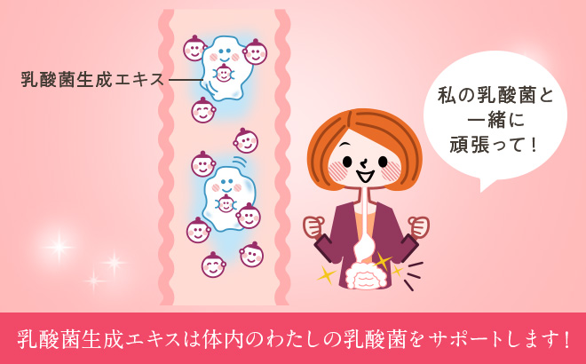 乳酸菌生成エキスは 体内のわたしの乳酸菌をサポートします!